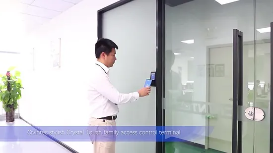 CT9 PRO TCP/IP Standalone RFID and Keypad Access Control Terminal