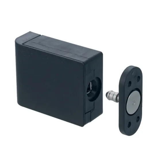 Black Adjustable DC12V/24V Dual